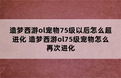 造梦西游ol宠物75级以后怎么超进化 造梦西游ol75级宠物怎么再次进化